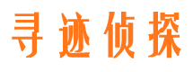 大宁市调查公司